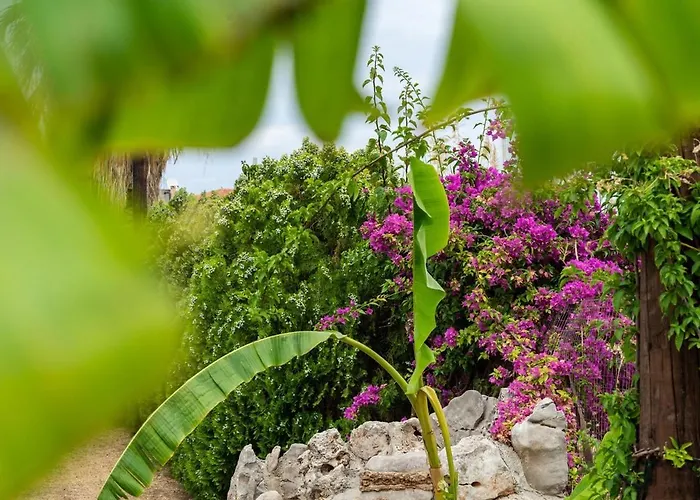 Vakantiehuis Luxury By The Port Epidaurus