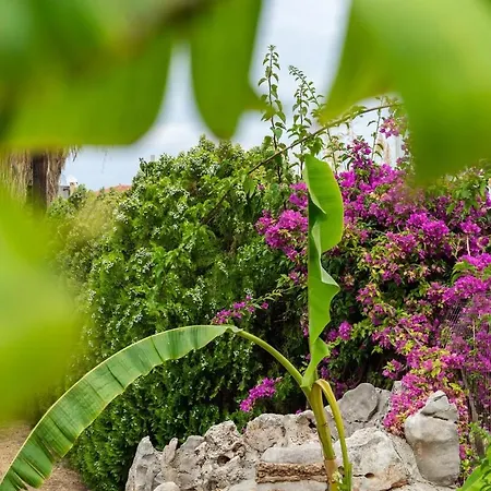 別荘 Luxury By The Port エピダウロス